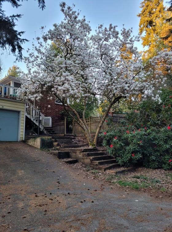 Furnished 1Br Apt With Equipped Office- North Seattle Exterior photo